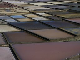 La_Palma_Lanzarote_2003-2004-012